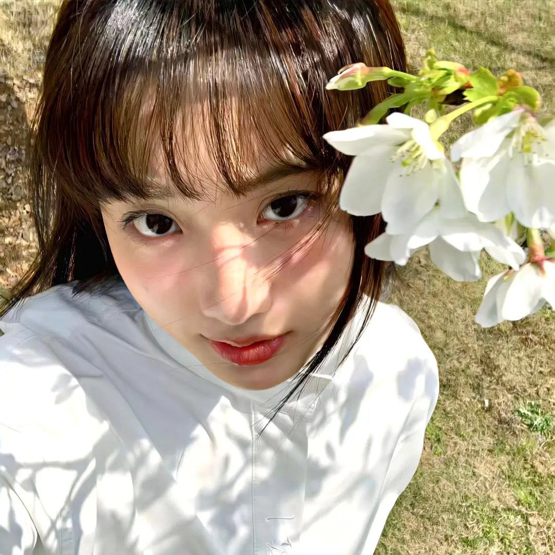 夏绿蒂的网
