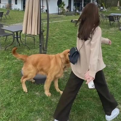 走过冬季